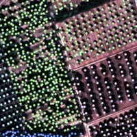 Agriculture & Soil