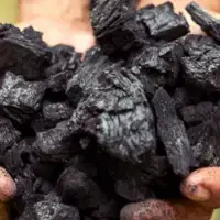Biochar & Carbon Farming