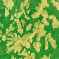 Forestry and Land Use