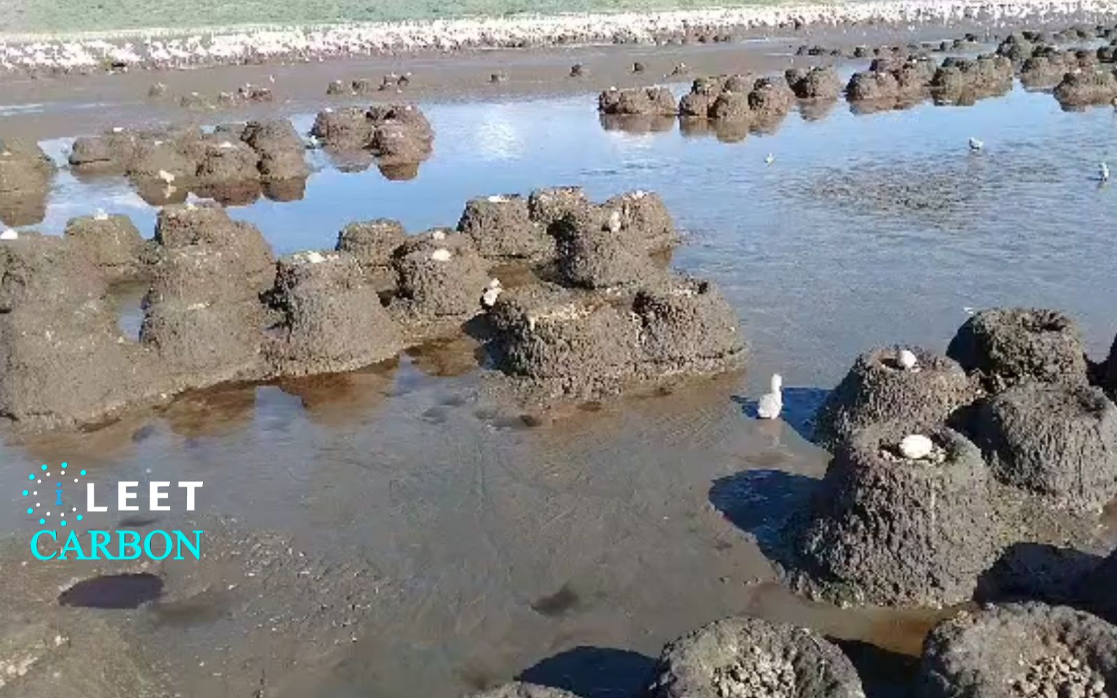Wetland Protection - Tanzania (Lake Natron)